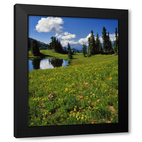 CO, Paradise Divide View of Whetstone Mountain Black Modern Wood Framed Art Print with Double Matting by Terrill, Steve