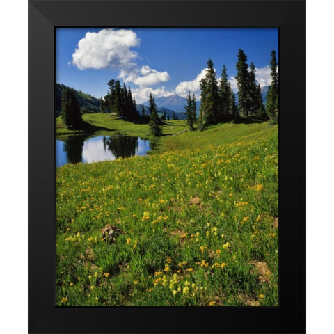 CO, Paradise Divide View of Whetstone Mountain Black Modern Wood Framed Art Print by Terrill, Steve