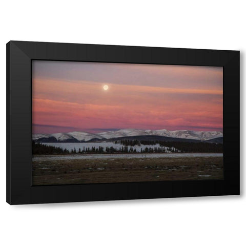CO, Full moon and alpenglow above Mosquito Range Black Modern Wood Framed Art Print by Grall, Don
