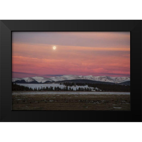 CO, Full moon and alpenglow above Mosquito Range Black Modern Wood Framed Art Print by Grall, Don