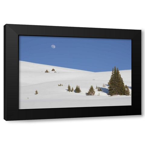 Colorado Moon rise above the Continental Divide Black Modern Wood Framed Art Print with Double Matting by Grall, Don