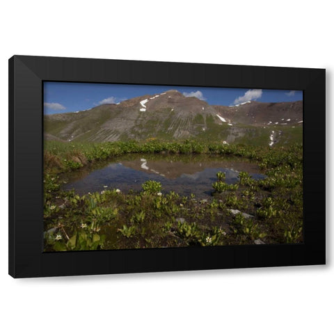 CO, San Juan Mts Pond lined with marsh marigold Black Modern Wood Framed Art Print with Double Matting by Grall, Don