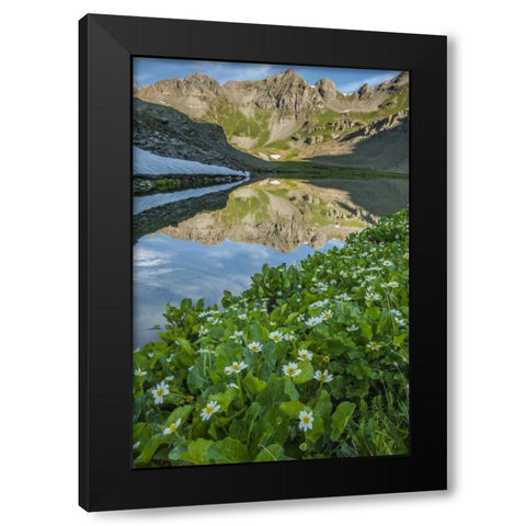 CO, San Juan Mts Lake reflection and marigolds Black Modern Wood Framed Art Print by Illg, Cathy and Gordon