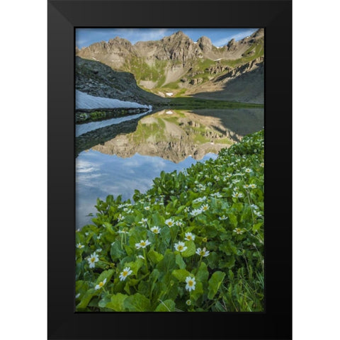 CO, San Juan Mts Lake reflection and marigolds Black Modern Wood Framed Art Print by Illg, Cathy and Gordon