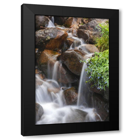 CO, Clear Creek Co, Cascade and chiming bells Black Modern Wood Framed Art Print by Illg, Cathy and Gordon