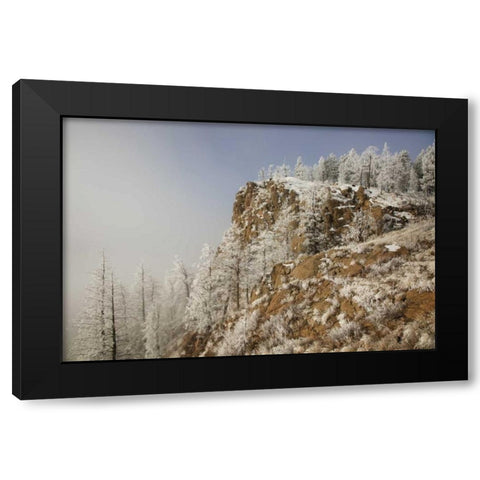 Colorado, Pike NF Hoarfrost on trees and grass Black Modern Wood Framed Art Print with Double Matting by Grall, Don