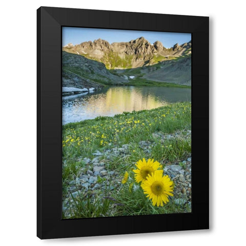 CO, San Juan Mts Lake and alpine sunflowers Black Modern Wood Framed Art Print by Illg, Cathy and Gordon