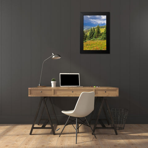 Colorado-Shrine Pass-Vail Flowery landscape in summer Black Modern Wood Framed Art Print by Jaynes Gallery
