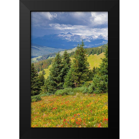 Colorado-Shrine Pass-Vail Flowery landscape in summer Black Modern Wood Framed Art Print by Jaynes Gallery