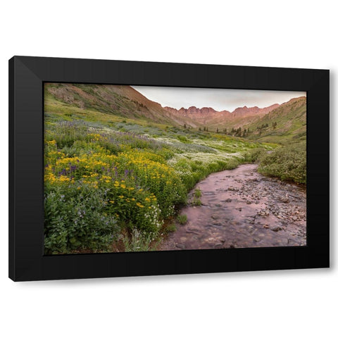 USA-Colorado Mountain landscape with wildflowers and stream Black Modern Wood Framed Art Print with Double Matting by Jaynes Gallery