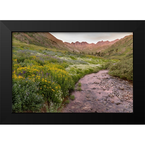 USA-Colorado Mountain landscape with wildflowers and stream Black Modern Wood Framed Art Print by Jaynes Gallery