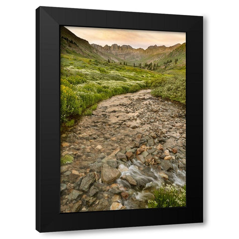 USA-Colorado Mountain landscape with wildflowers and stream Black Modern Wood Framed Art Print with Double Matting by Jaynes Gallery