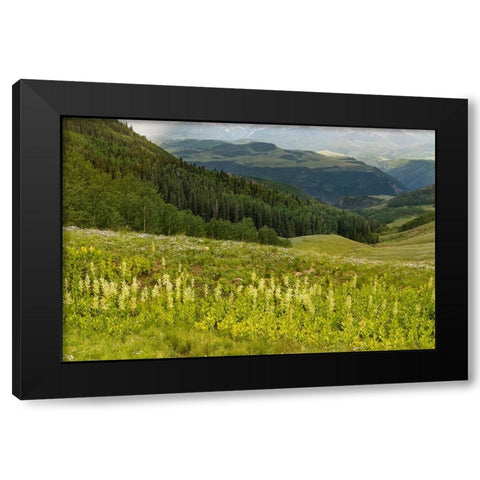 USA-Colorado-San Juan Mountains Summer mountain landscape Black Modern Wood Framed Art Print by Jaynes Gallery