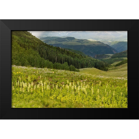 USA-Colorado-San Juan Mountains Summer mountain landscape Black Modern Wood Framed Art Print by Jaynes Gallery