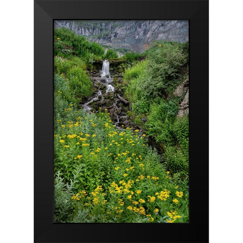 USA-Colorado-Uncompahgre National Forest Mountain landscape with waterfall and wildflowers Black Modern Wood Framed Art Print by Jaynes Gallery