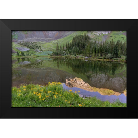 USA-Colorado-Uncompahgre National Forest Mountain wildflowers and pond landscape Black Modern Wood Framed Art Print by Jaynes Gallery