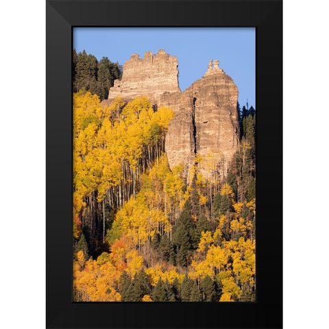 USA-Colorado-Uncompahgre National Forest Pinnacle Ridge towers over aspens in autumn Black Modern Wood Framed Art Print by Jaynes Gallery