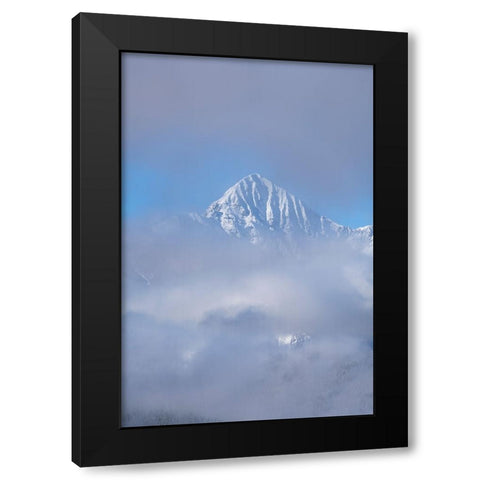 USA-Colorado-Uncompahgre National Forest Autumn sunrise on foggy Wilson Peak Black Modern Wood Framed Art Print with Double Matting by Jaynes Gallery