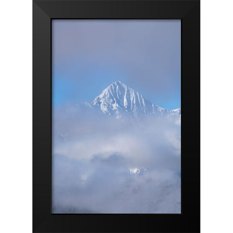 USA-Colorado-Uncompahgre National Forest Autumn sunrise on foggy Wilson Peak Black Modern Wood Framed Art Print by Jaynes Gallery