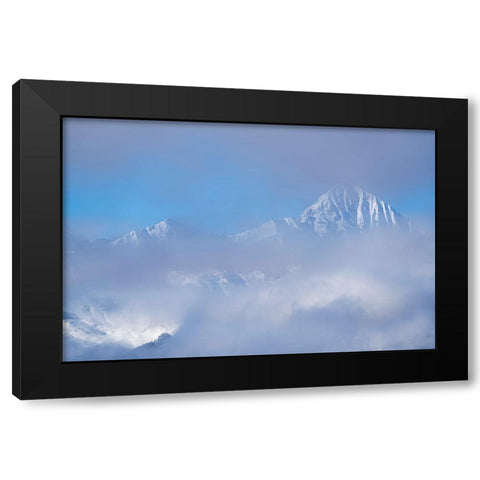 USA-Colorado-Uncompahgre National Forest Autumn sunrise on foggy Wilson Peak Black Modern Wood Framed Art Print with Double Matting by Jaynes Gallery