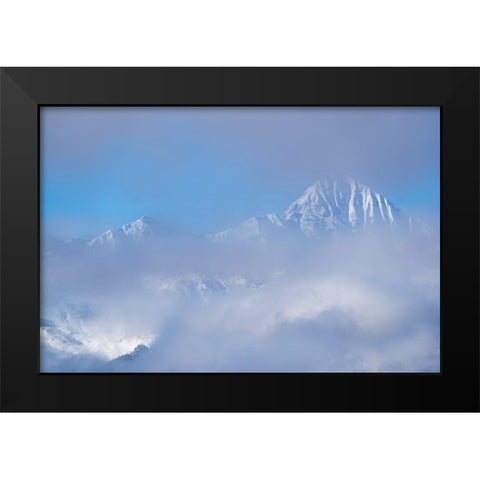 USA-Colorado-Uncompahgre National Forest Autumn sunrise on foggy Wilson Peak Black Modern Wood Framed Art Print by Jaynes Gallery