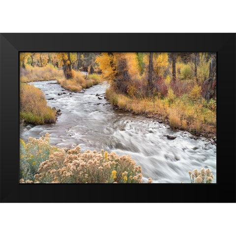 USA-Colorado-White River National Forest Fryingpan River and autumn foliage Black Modern Wood Framed Art Print by Jaynes Gallery