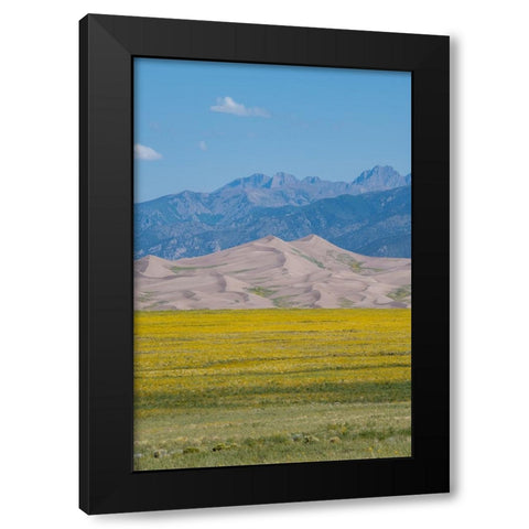 USA-Colorado-San Luis Valley-Great Sand Dunes National Park Black Modern Wood Framed Art Print by Hopkins, Cindy Miller