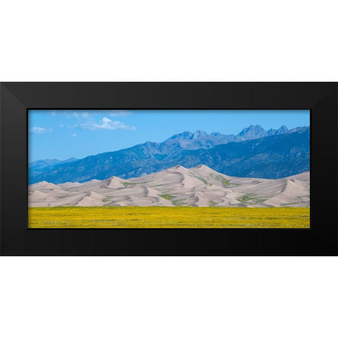 USA-Colorado-San Luis Valley-Great Sand Dunes National Park Black Modern Wood Framed Art Print by Hopkins, Cindy Miller