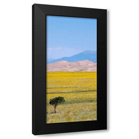 USA-Colorado-San Luis Valley-Great Sand Dunes National Park Black Modern Wood Framed Art Print by Hopkins, Cindy Miller
