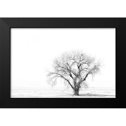 Lone tree Black Modern Wood Framed Art Print by Theodore, George and Marilu