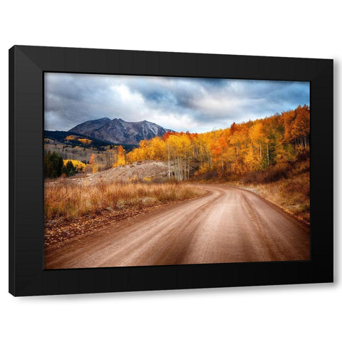 Colorado-San Juan Mts Road leading through an aspen grove towards East Beckwith Mountain Black Modern Wood Framed Art Print with Double Matting by Eggers, Julie