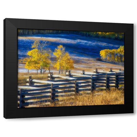 Colorado-San Juan Mts Fence line and aspens with fresh snow in the fall Black Modern Wood Framed Art Print by Eggers, Julie