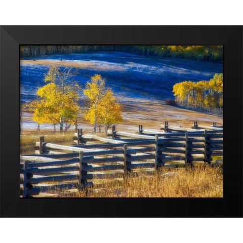Colorado-San Juan Mts Fence line and aspens with fresh snow in the fall Black Modern Wood Framed Art Print by Eggers, Julie
