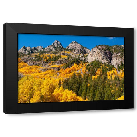 Aspen-Colorado Maroon Bells-Snowmass Wilderness Black Modern Wood Framed Art Print by Ostrowitz, Mallorie