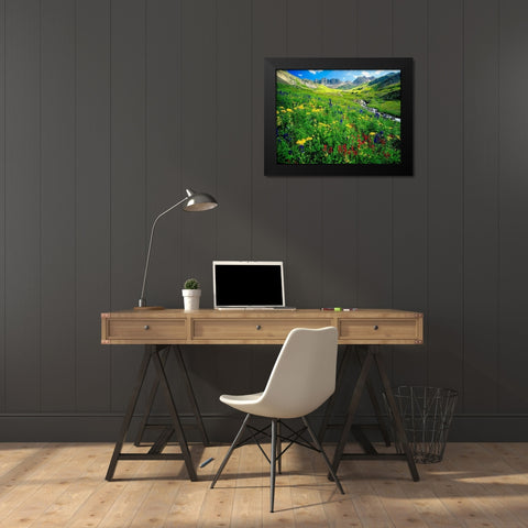 Spring is graced with American Basin wildflowers in the Colorado Rocky Mountains Black Modern Wood Framed Art Print by SMO