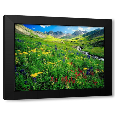 Spring is graced with American Basin wildflowers in the Colorado Rocky Mountains Black Modern Wood Framed Art Print with Double Matting by SMO