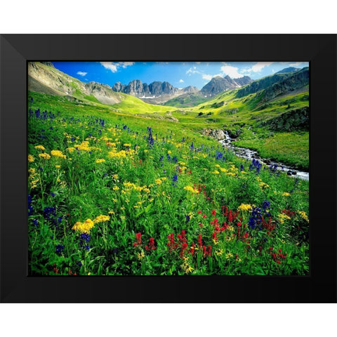 Spring is graced with American Basin wildflowers in the Colorado Rocky Mountains Black Modern Wood Framed Art Print by SMO