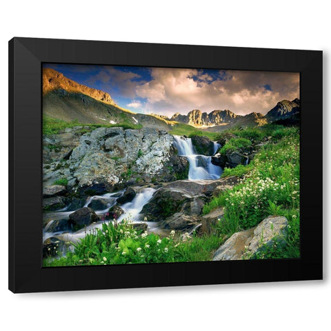 A spring cascade with white wildflowers in American Basin in the Colorado Rocky Mountains Black Modern Wood Framed Art Print with Double Matting by SMO