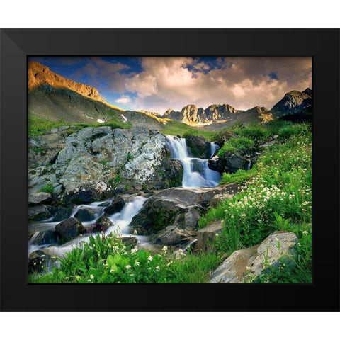 A spring cascade with white wildflowers in American Basin in the Colorado Rocky Mountains Black Modern Wood Framed Art Print by SMO