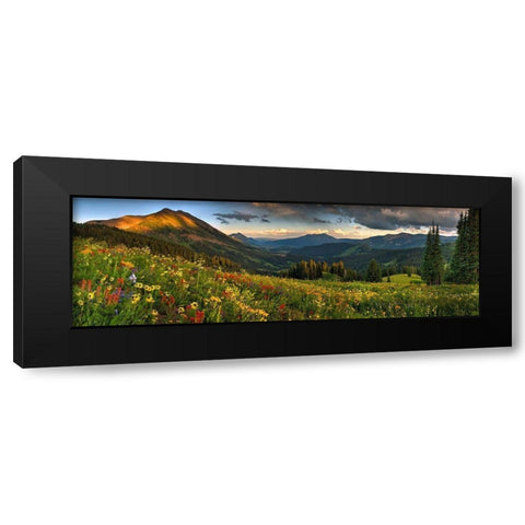 Colorado-Crested Butte-wildflowers Black Modern Wood Framed Art Print with Double Matting by SMO