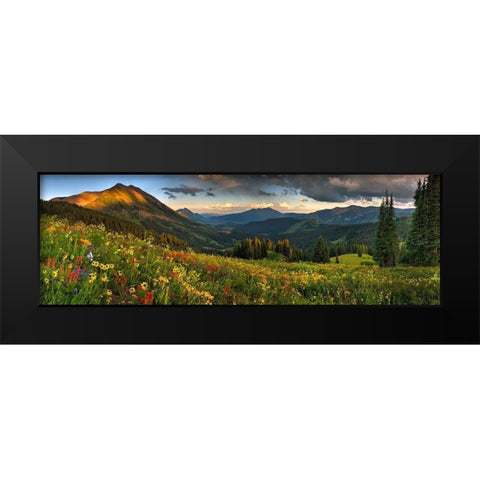 Colorado-Crested Butte-wildflowers Black Modern Wood Framed Art Print by SMO