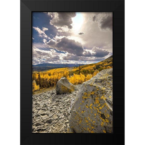 A valley of gold Aspen on Ohio Pass in the Colorado Rocky Mountains near Crested Butte Black Modern Wood Framed Art Print by SMO