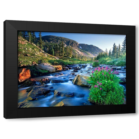 Fresh Rocky Mountain spring runoff cascades past wildflowers in bloom Black Modern Wood Framed Art Print with Double Matting by SMO