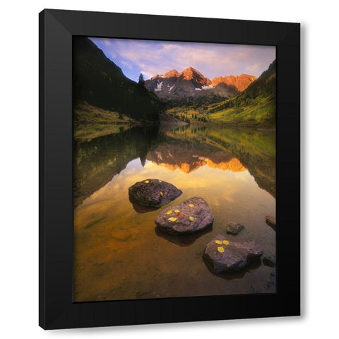 Aspen leaves signify the end of Fall and the beginning of winter at the maroon bells Black Modern Wood Framed Art Print with Double Matting by SMO
