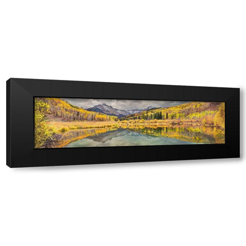 Mt Snaffles and a sea of gold Aspen trees reflects in a large pond in autumn Black Modern Wood Framed Art Print with Double Matting by SMO
