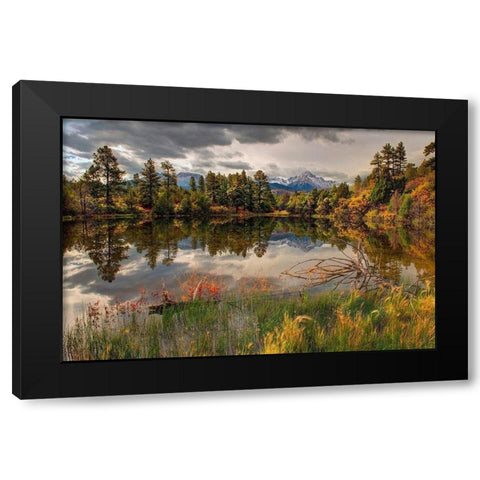 A tranquil pond reflects Mt Snaffles and Fall in the Colorado Rocky Mountains Black Modern Wood Framed Art Print with Double Matting by SMO