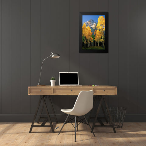 A mountain actually named unnamed 13334 flanked by Fall Aspen trees in the Colorado Rocky Mountains Black Modern Wood Framed Art Print by SMO