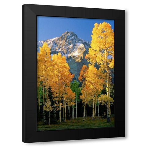 A mountain actually named unnamed 13334 flanked by Fall Aspen trees in the Colorado Rocky Mountains Black Modern Wood Framed Art Print by SMO