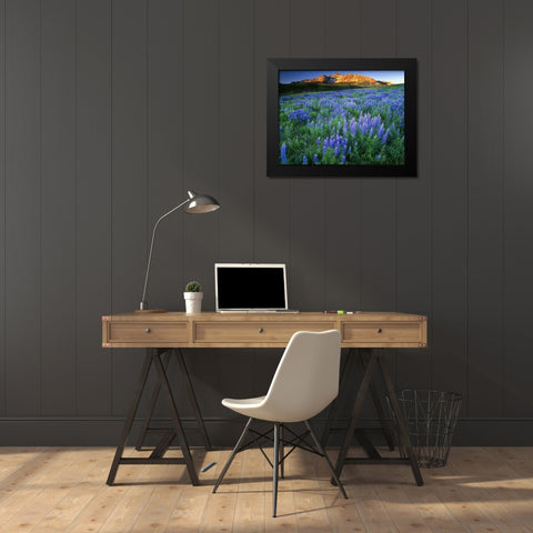 Wilson Peak near Telluride in the Colorado Rocky Mountains Black Modern Wood Framed Art Print by SMO