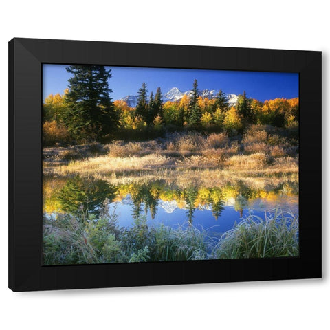 Wilson Peak near Telluride in the Colorado Rocky Mountains Black Modern Wood Framed Art Print by SMO